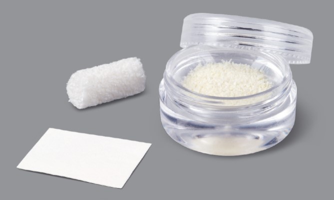 آلوگرافت  (Allograft)